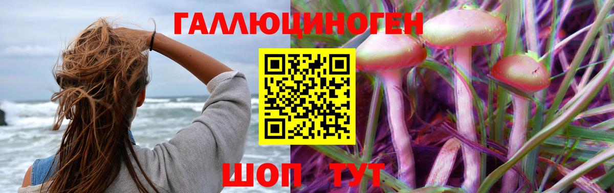 Бор  Галлюциногенные грибы MAGIC MUSHROOMS  Вход с VPN 